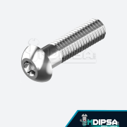 Pernos Socket Button Inoxidable C-304